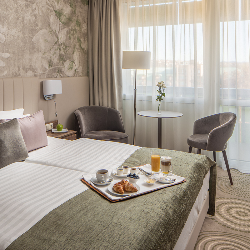 Deluxe suite